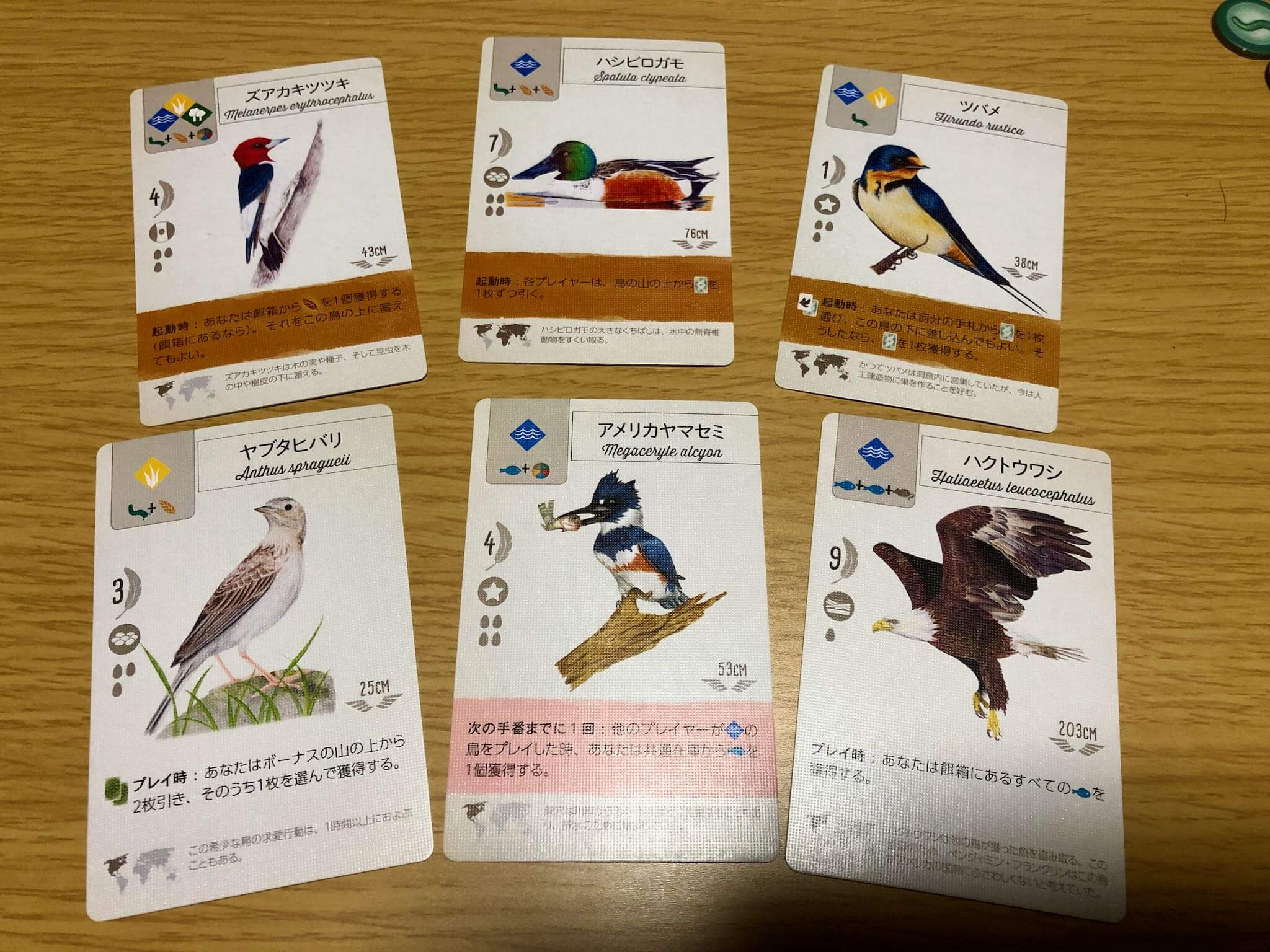 ウイングスパン 完全日本語版』をプレイ！ 自分の鳥獣保護区に多くの鳥 